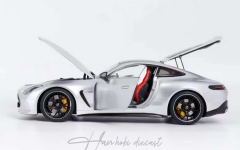 MERCEDES BENZ AMG GT 63 Coupe 2023 NZG 1:18 DİECAST
